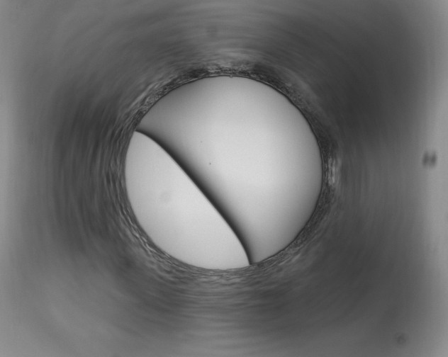 X0000113920915200909241326