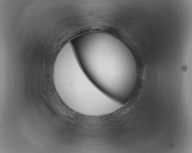 X0000113920916200909241326