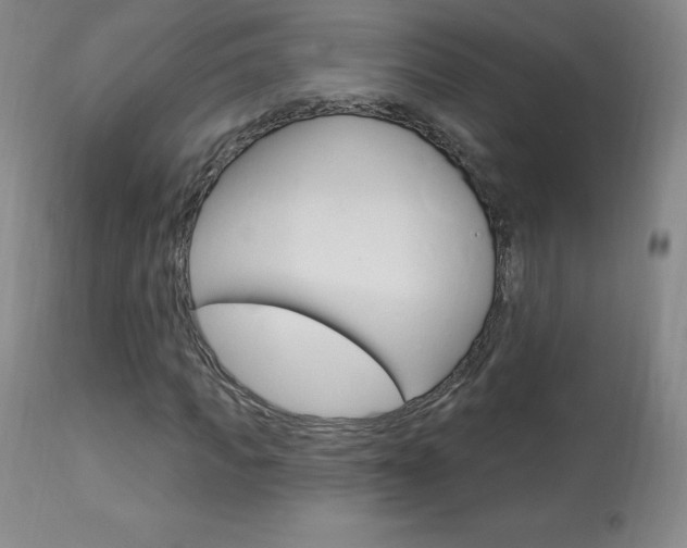 X0000113920917200909241326