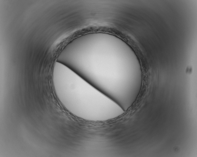 X0000113920919200909241326