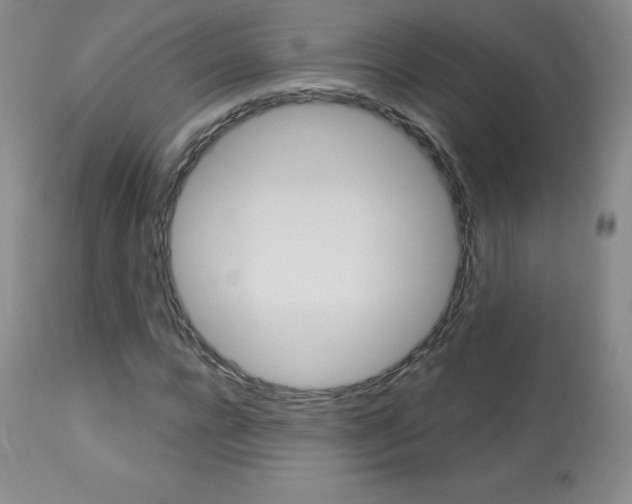 X0000113920920200909241326