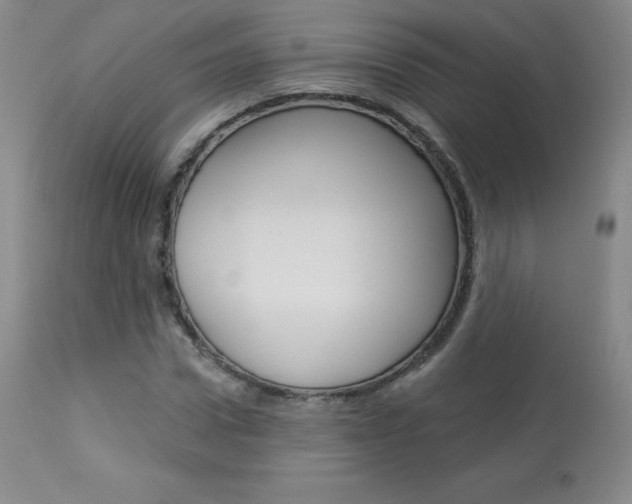 X0000113920922200909241326