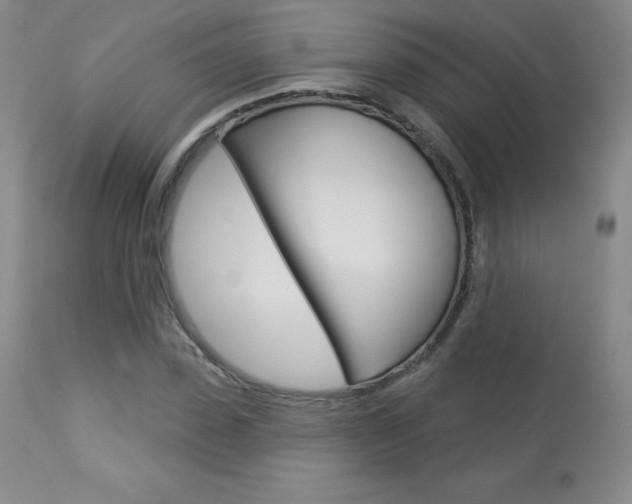 X0000113920923200909241326