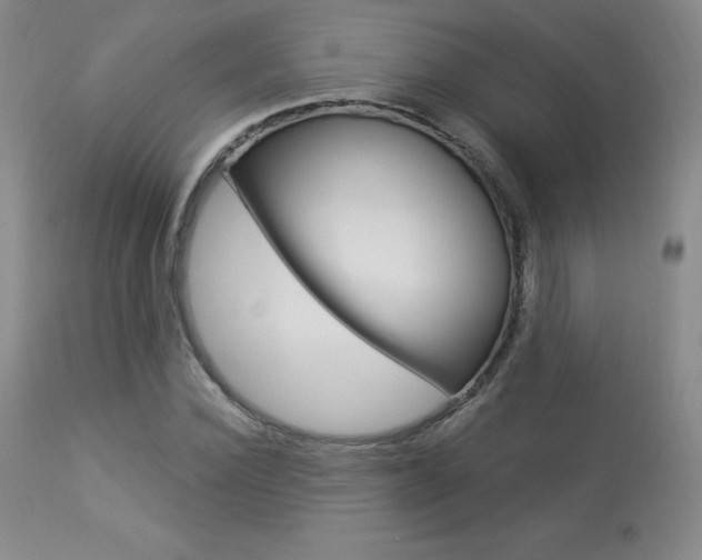 X0000113920924200909241326