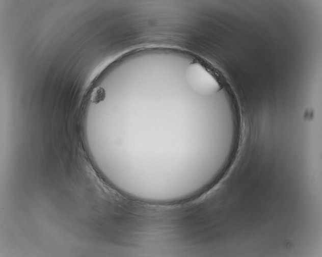 X0000113920925200909241326