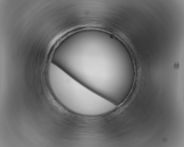 X0000113920928200909241326