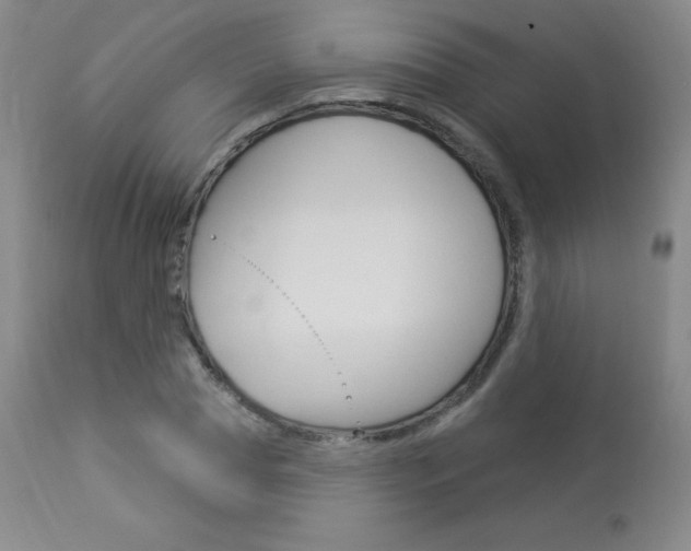 X0000113920929200909241326