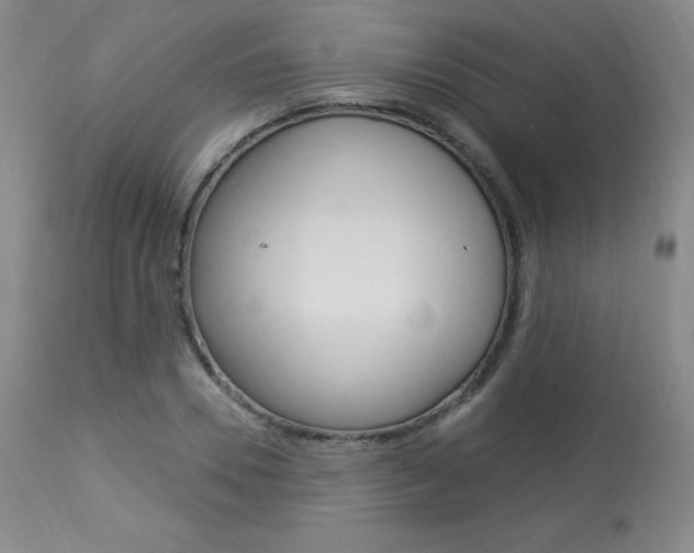 X0000113920930200909241326