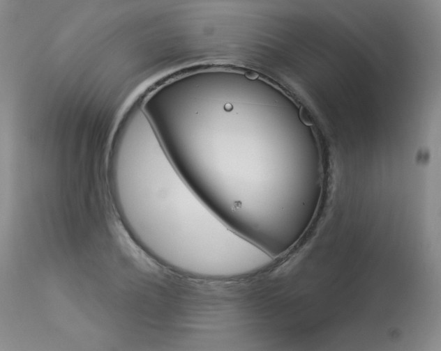 X0000113920932200909241326