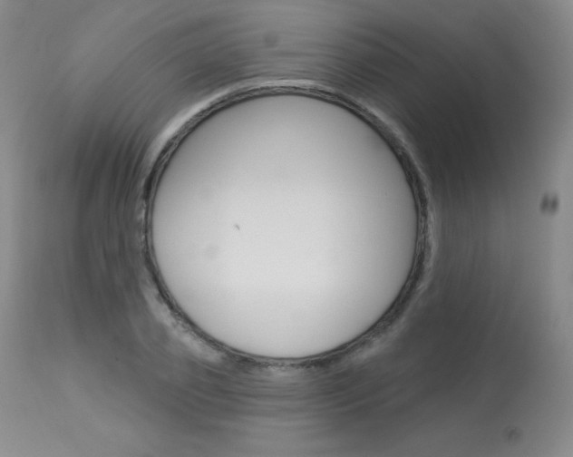 X0000113920933200909241326