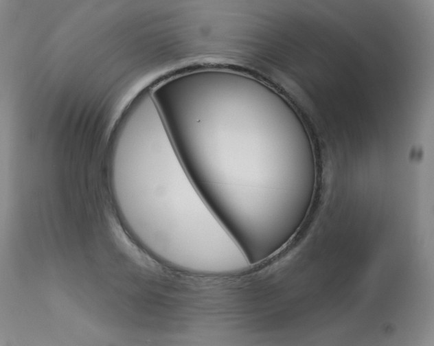 X0000113920934200909241326