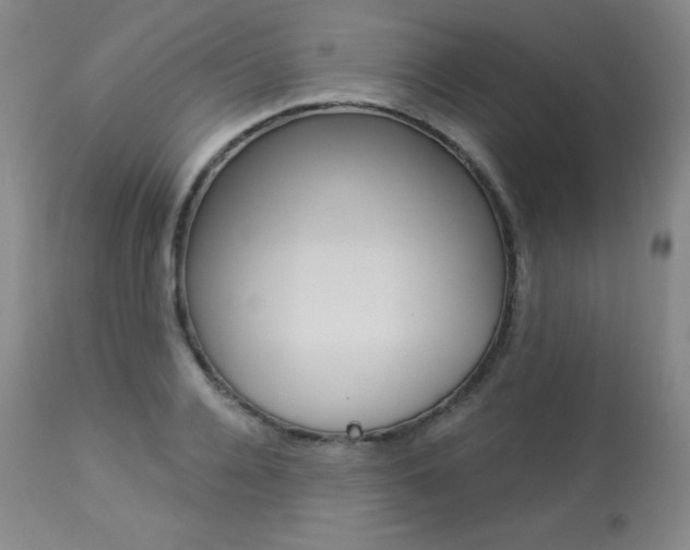 X0000113920936200909241326