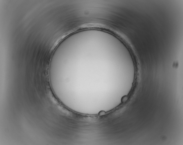 X0000113920937200909241326