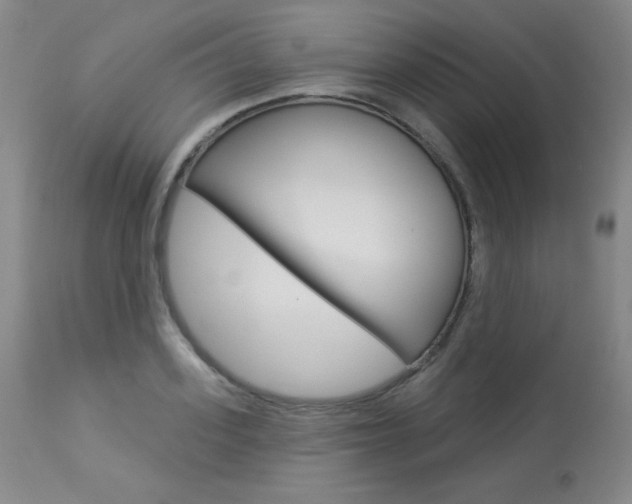 X0000113920939200909241326