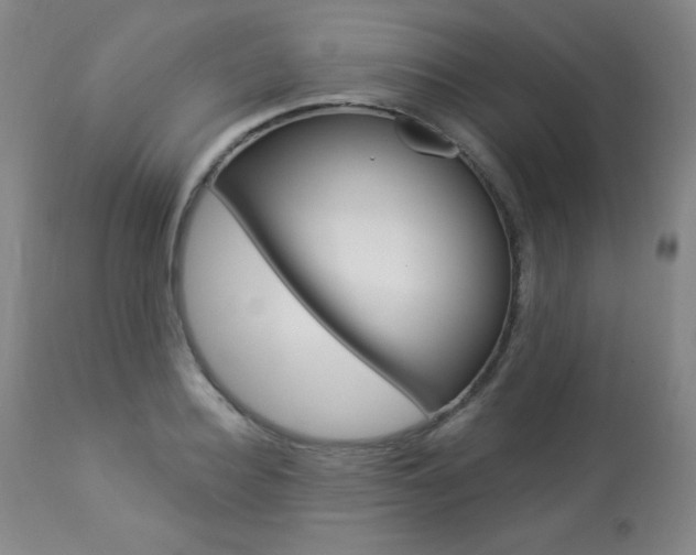 X0000113920940200909241326