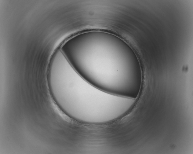 X0000113920942200909241326