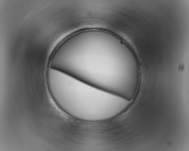 X0000113920943200909241326