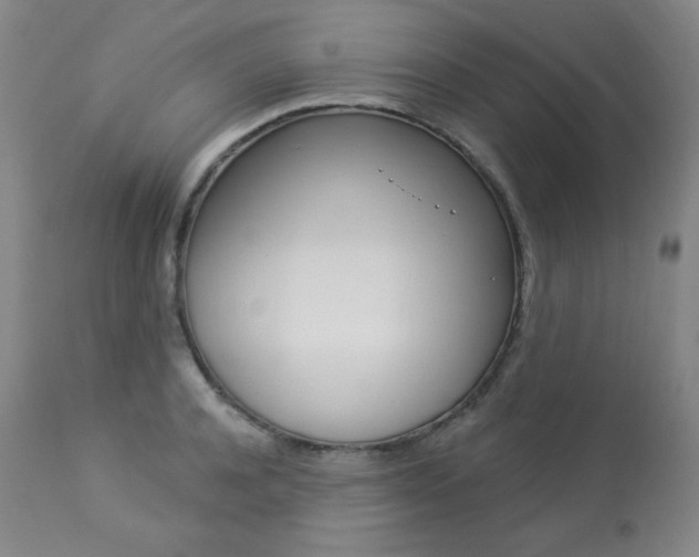 X0000113920944200909241326