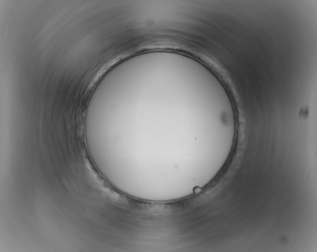 X0000113920945200909241326