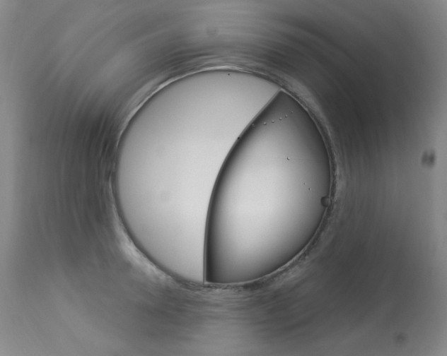 X0000113920946200909241326