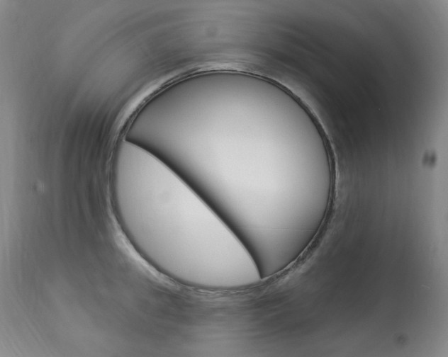 X0000113920949200909241326