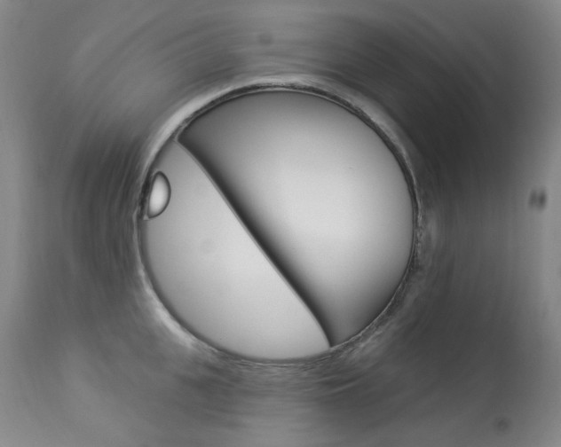 X0000113920951200909241326