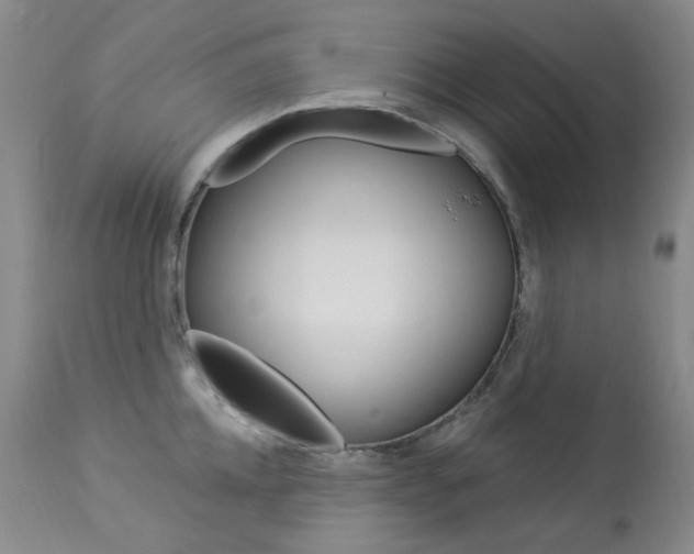 X0000113920952200909241326