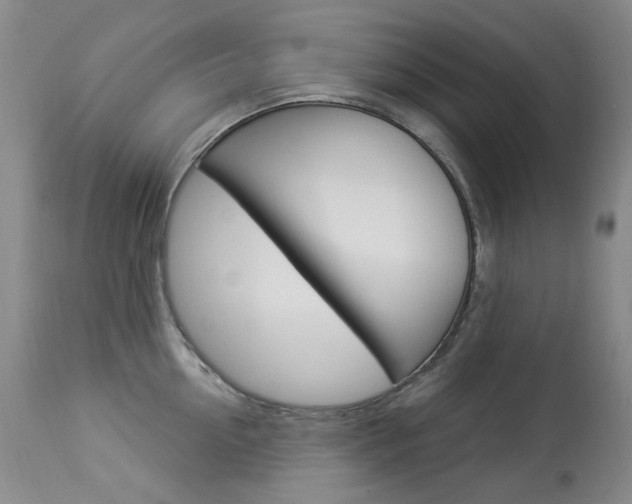 X0000113920954200909241326