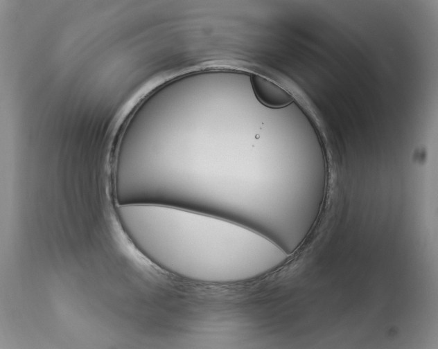 X0000113920955200909241326