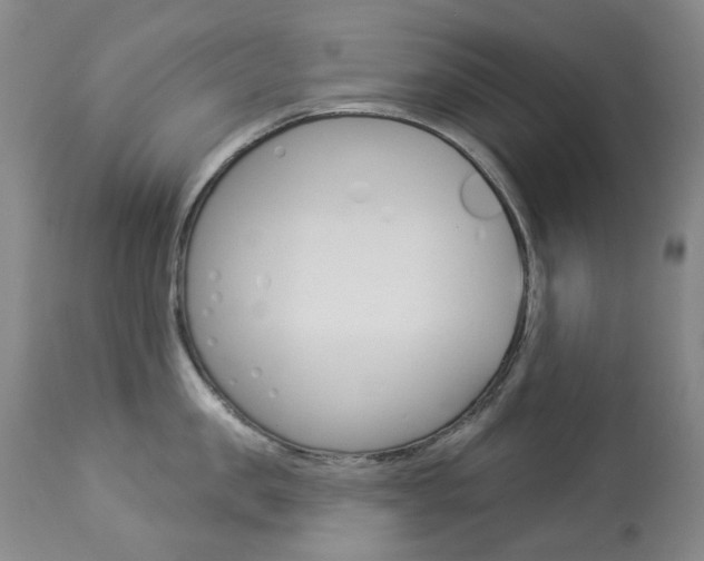 X0000113920957200909241326