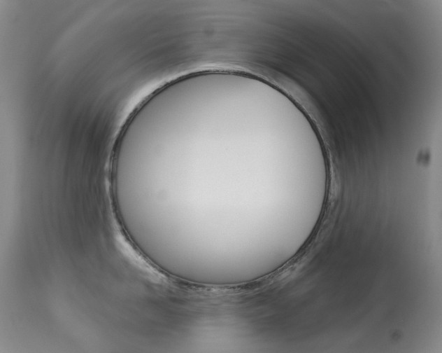 X0000113920958200909241326