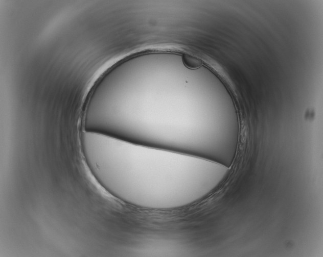 X0000113920959200909241326