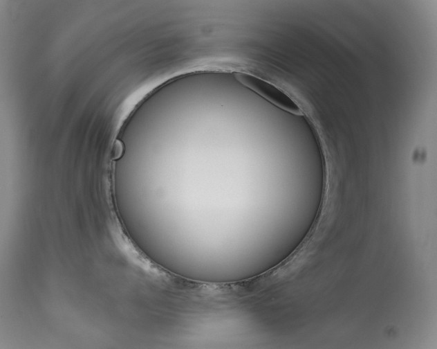 X0000113920960200909241326