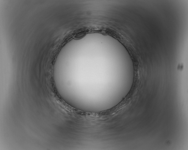 X0000113920961200909241326