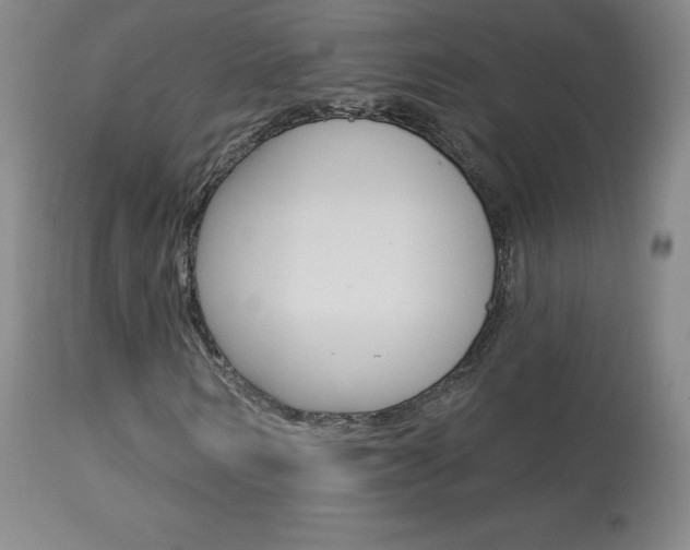 X0000113920962200909241326