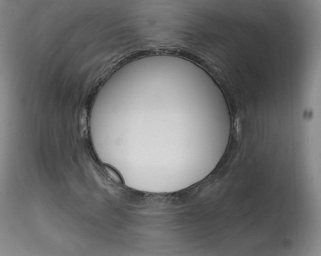 X0000113920963200909241326