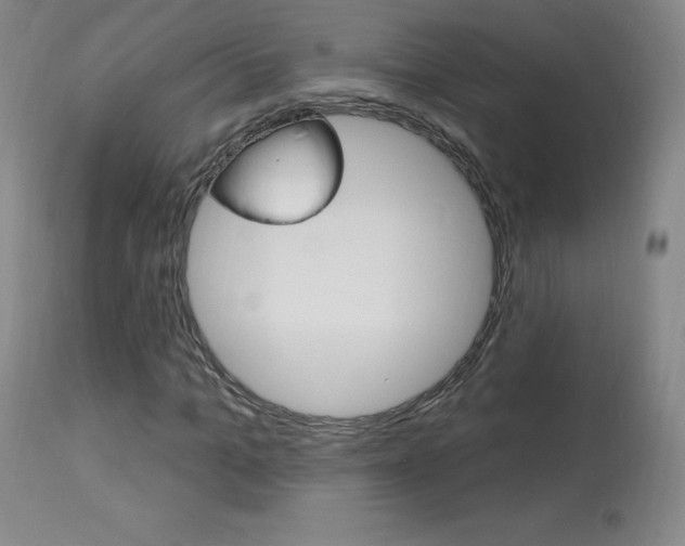 X0000113920965200909241325