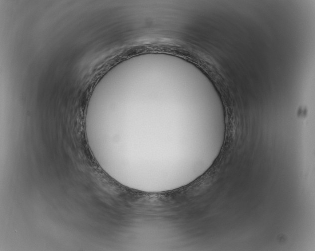 X0000113920966200909241325
