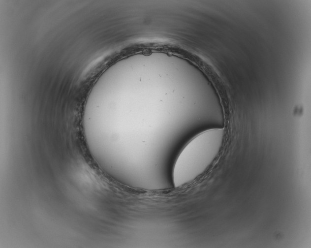 X0000113920967200909241325
