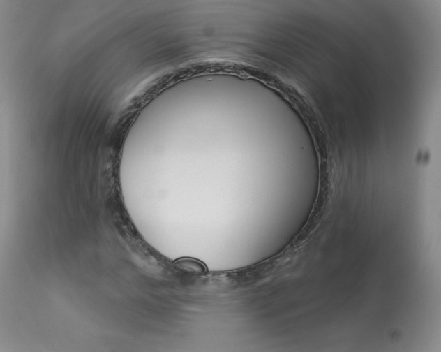 X0000113920968200909241325