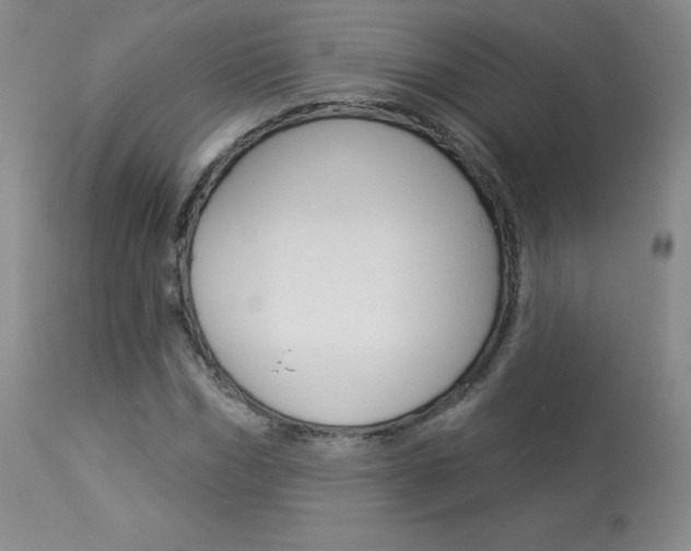X0000113920970200909241325