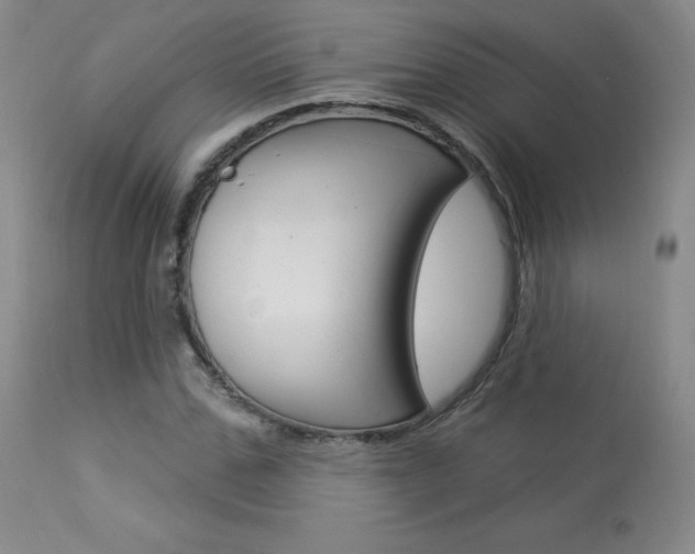 X0000113920971200909241325