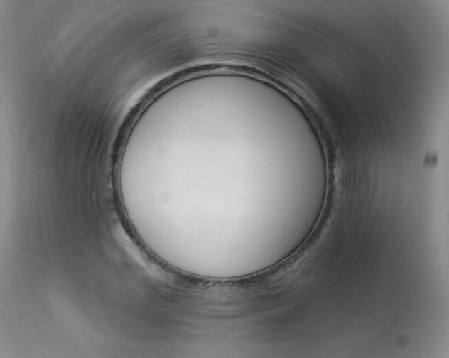 X0000113920972200909241325