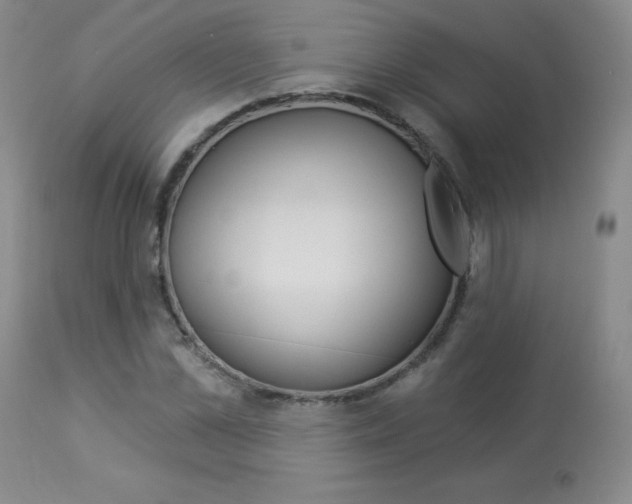 X0000113920973200909241325