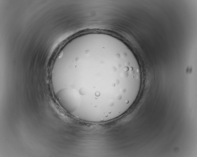 X0000113920974200909241325