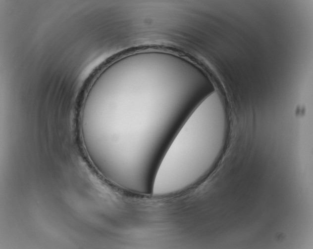 X0000113920975200909241325