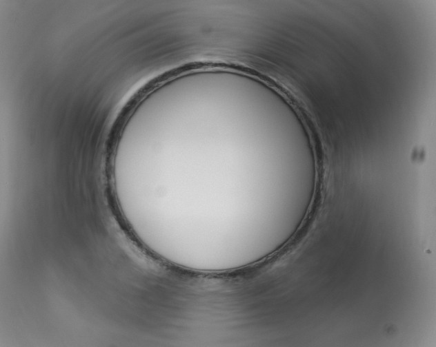 X0000113920976200909241325