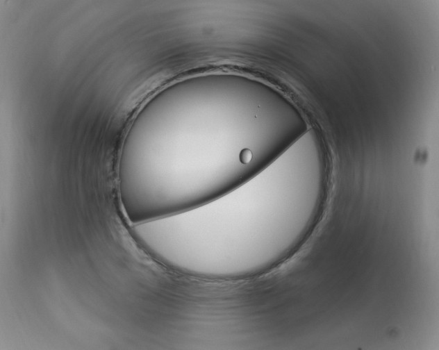 X0000113920977200909241325