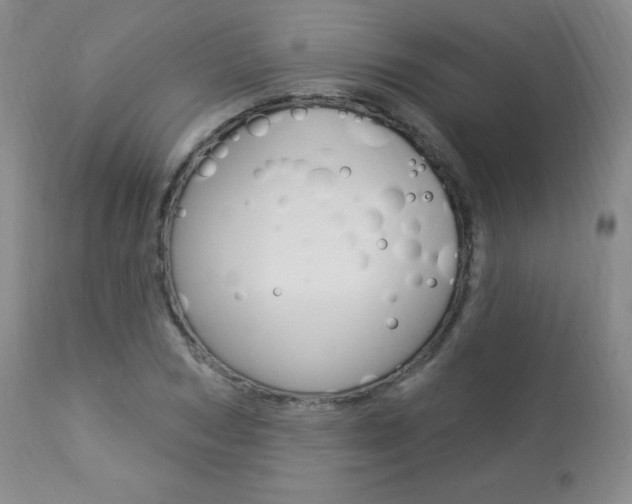 X0000113920978200909241325