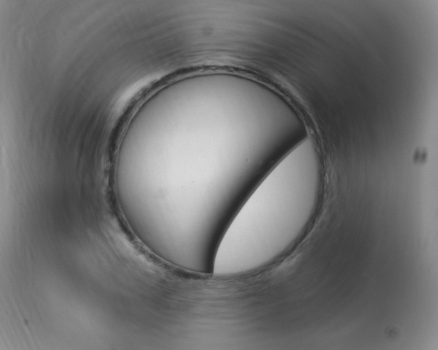 X0000113920979200909241325
